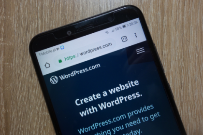 The Number One Question You Must Ask for WordPress Development